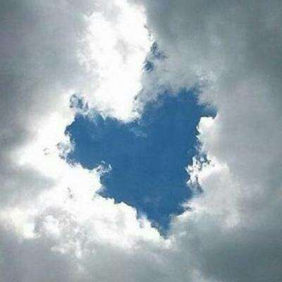 体育竞彩推荐平台app