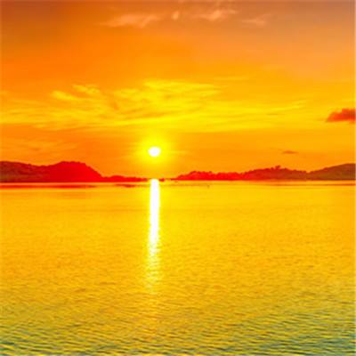 manbetx官网在线登录