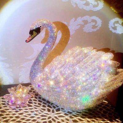 大四喜手机app下载