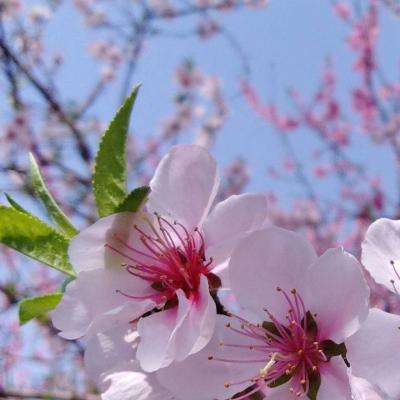 kaiyun·开云手机app下载截图